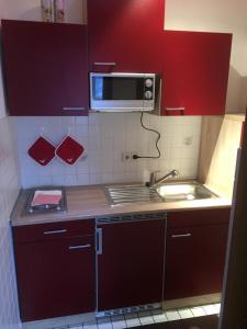 uma pequena cozinha com um lavatório e um micro-ondas em Winterberg Appartement Niedersfeld em Winterberg