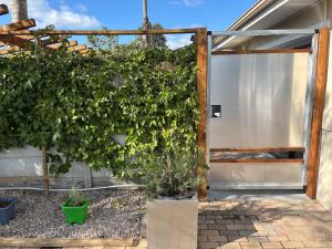 an open door to a garden with a plant at Urban Nest Self Catering in George