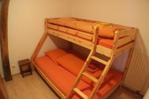 Ein Etagenbett oder Etagenbetten in einem Zimmer der Unterkunft Reiterhof Könning