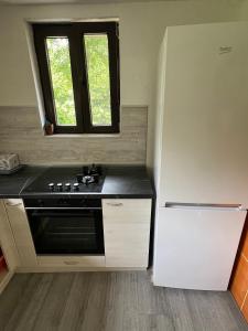 a kitchen with a stove and a refrigerator at Къща за гости Зафирови in Ribarica +8 photos