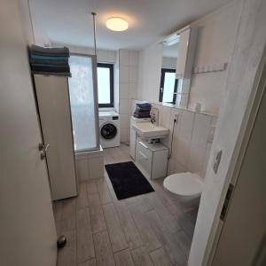 a bathroom with a toilet and a sink and a washing machine at ALLGÄU SONNENSEITE am ALPSEE -BERGE-SKI in Immenstadt im Allgäu
