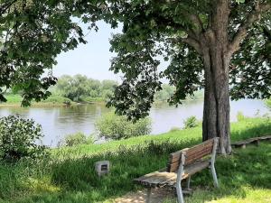 a park bench under a tree next to a river at Eigentumswohnung Nähe See in Pirna