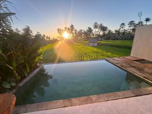a pool in front of a rice field with the sun setting at Intan Villa & Suite Ubud in Ubud