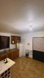 a kitchen with a white refrigerator and wooden cabinets at Vivenda Santos in Albufeira