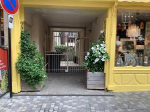 a yellow storefront with two potted plants in the doorway at Maison charmante près de Sainte Catherine in Honfleur