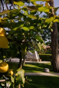 a bench in a park behind some trees at La Serena Forte dei Marmi, Small Luxury Hotels of the World in Forte dei Marmi