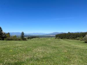 a field of green grass with trees in the background at Linden House in Sklené +28 photos