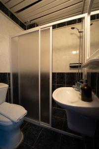 a bathroom with a shower and a toilet and a sink at The Turunç INN Otel in Turunç
