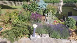 a garden with a bunch of plants and flowers at Villanath in Bellegarde-sur-Valserine