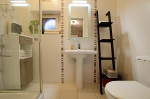 a bathroom with a shower and a sink and a toilet at La met au loup in Charmont-sous-Barbuise +10 photos