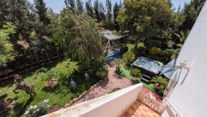 an aerial view of a garden with a swimming pool at Dar Mozart in Essaouira