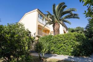 a house with a palm tree in front of it at Green Oasis by the Sea in Koper