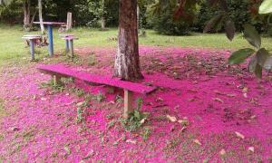 a bench covered in pink flowers next to a tree at Pouso Jambo Rosa in Valença