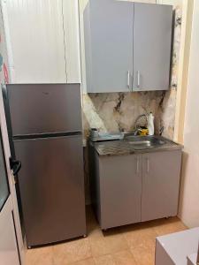 a kitchen with a refrigerator and a sink at IGI Apartments in Bogorodica