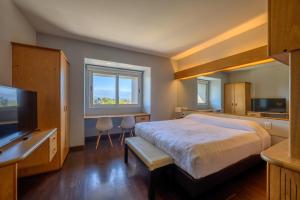 a bedroom with a large bed and a television at Hathor Hotels Mendoza in Mendoza