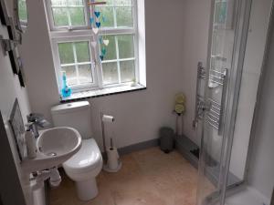 a bathroom with a toilet and a sink and a shower at Yr Hen Efail - Quirky Old Smithy cottage near forest walks, cycling & lakes in Garthbeibio