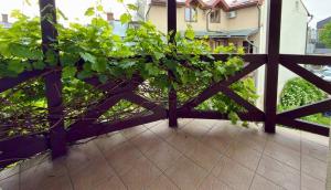 a small tree on a balcony with a fence at хостел Галіція in Kolomiya
