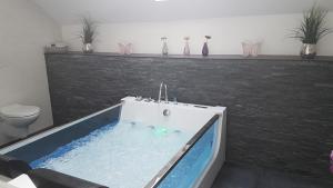 a bath tub in a bathroom with a toilet at Eifel Dream Ardennenblick in Kobscheid +10 photos