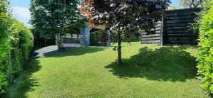 a yard with two trees and a building at Eifel Dream Kleinenims in Burbach