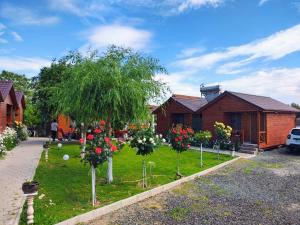 a garden with trees and flowers in front of a house at Cabanele Deltei in Dunavăţu de Jos +45 photos