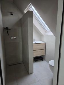 a bathroom with a shower with a sink and a toilet at Erve Ther Maet in Weerselo +19 photos