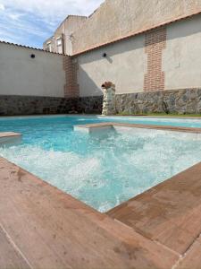 a dog standing on the side of a swimming pool at CASA RURAL EL TORREON in Fontiveros
