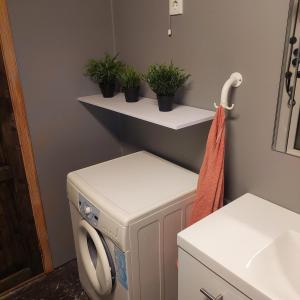 a laundry room with a washing machine and a sink at Cabin in Hjelmeland in Hjelmeland