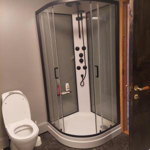 a bathroom with a shower and a toilet at Cabin in Hjelmeland in Hjelmeland +34 photos
