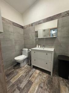 a bathroom with a toilet and a sink at Ranč v Landu in Kamýk nad Vltavou +25 photos