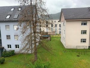 a tree in a yard next to a white building at Winterthur in Winterthur