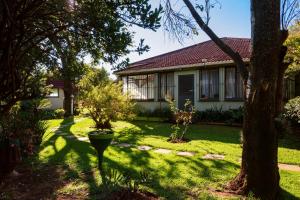 a house with a tree in the yard at Rooster Room in Boksburg