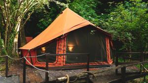 a small tent in the middle of a forest at River Tribe Glamping in Laino Borgo