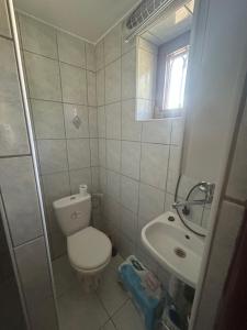 a small bathroom with a toilet and a sink at Stella apartman in Gabčíkovo +10 photos