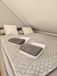 a bed with two pillows on top of it at Green Living in Meckenbeuren +21 photos