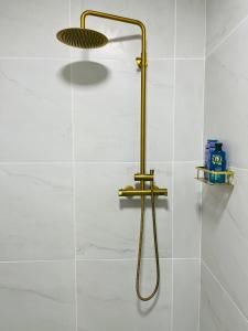 a shower with a gold shower head in a bathroom at Homestay Snæfellsnes in Stykkishólmur +2 photos