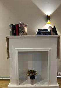 a white fireplace with a plant on top of it at Homestay Snæfellsnes in Stykkishólmur