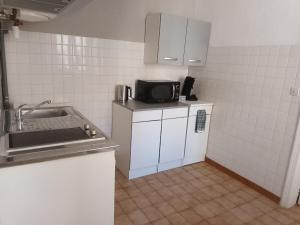 mała kuchnia ze zlewem i kuchenką mikrofalową w obiekcie Appartement Corte w mieście Corte +6 zdjęć