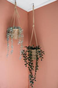 a plant in a basket hanging from a wall at Forrest Lodge in bosrijke omgeving de Veluwe - met terras, tuin en fietsschuurtje in Nunspeet +22 photos