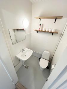 a small bathroom with a toilet and a sink at Central Large Double Room with free parking in Aalborg