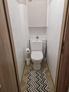 a small bathroom with a toilet and a rug at Cozy 3 room appartment in Klaipėda
