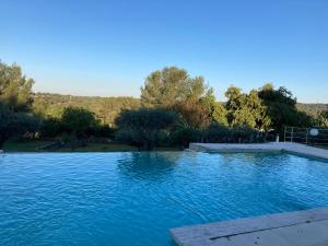 a pool of blue water with trees in the background at Maison orchidée in Nîmes