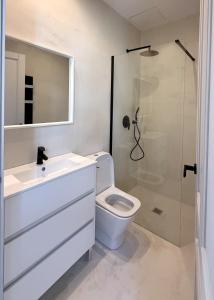 a bathroom with a sink and a toilet and a shower at Posadas de María Casa María 3 in Talavera de la Reina