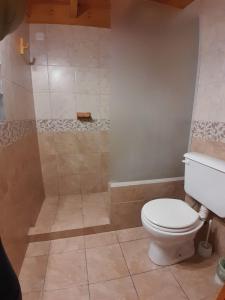 a bathroom with a toilet and a shower at Cabañas LaMaria in Coronel Suárez