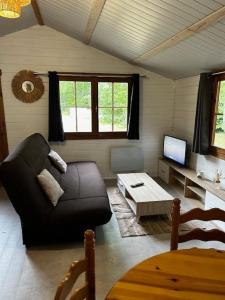 a living room with a couch and a tv at Chalet à Biscarrosse in Biscarrosse