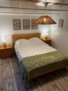 a bedroom with a bed and two night stands and a lamp at Chalet à Biscarrosse in Biscarrosse