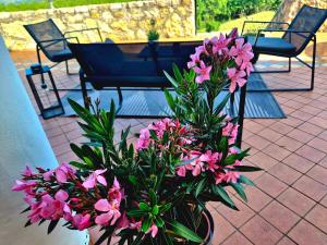 a vase filled with pink flowers on a patio at Dorono House in Balatonudvari +86 photos