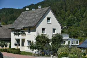 a white house with a black roof at Haus Barbara Ott in St. Blasien