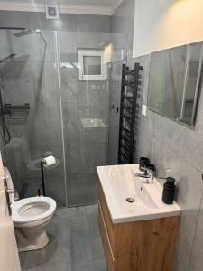 a bathroom with a shower and a toilet and a sink at Chata VeloVino in Moča +16 photos
