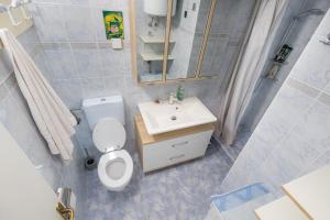 a bathroom with a toilet and a sink and a mirror at Green Oasis by the Sea in Koper