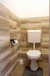 a bathroom with a white toilet in a room at Privet Apartman in Balatonfüred